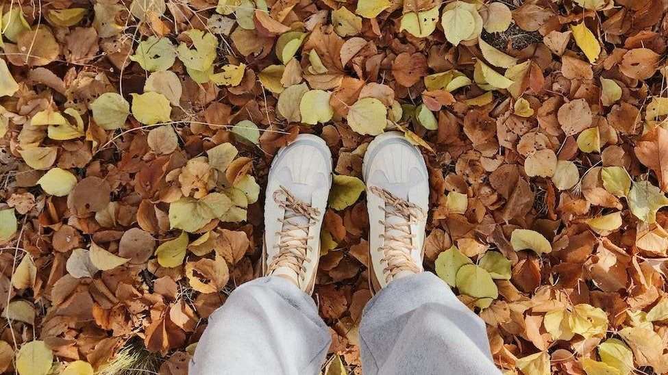 a person in white sneakers standing on the ground full of dried leaves