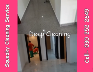 Deep Cleaning