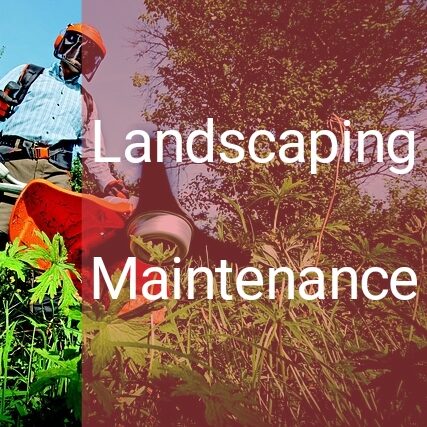 landscaping maintenance